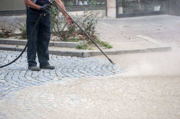 Best Roof Washing  in Galesburg, MI